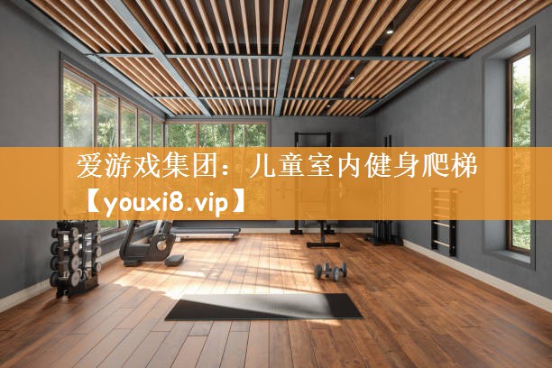 爱游戏集团：儿童室内健身爬梯