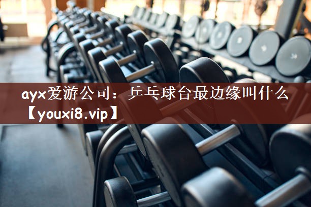 ayx爱游公司：乒乓球台最边缘叫什么