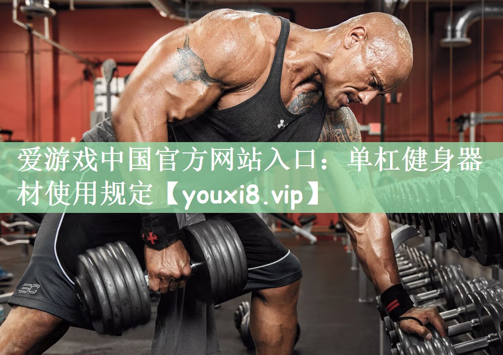 爱游戏中国官方网站入口：单杠健身器材使用规定