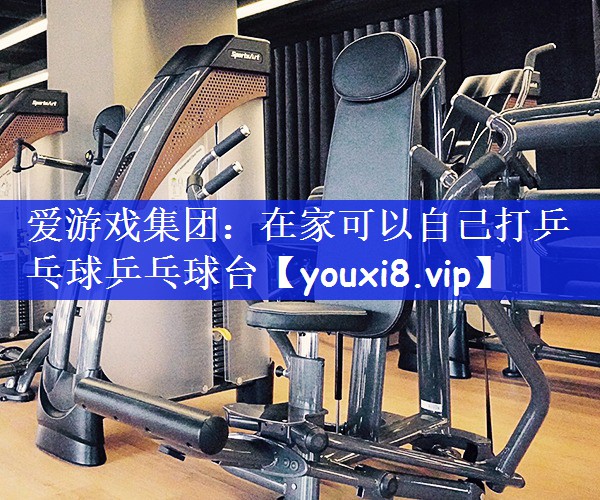 爱游戏集团：在家可以自己打乒乓球乒乓球台