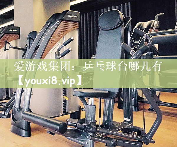 爱游戏集团：乒乓球台哪儿有