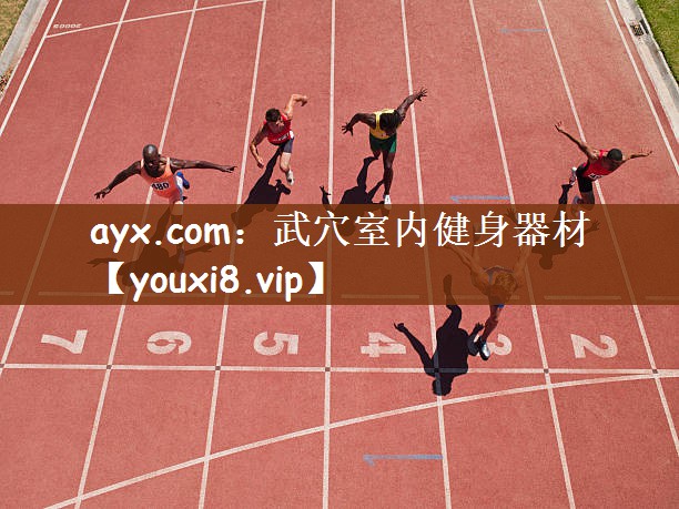 ayx.com：武穴室内健身器材