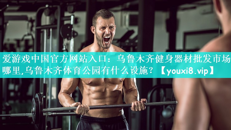 爱游戏中国官方网站入口：乌鲁木齐健身器材批发市场在哪里,乌鲁木齐体育公园有什么设施？