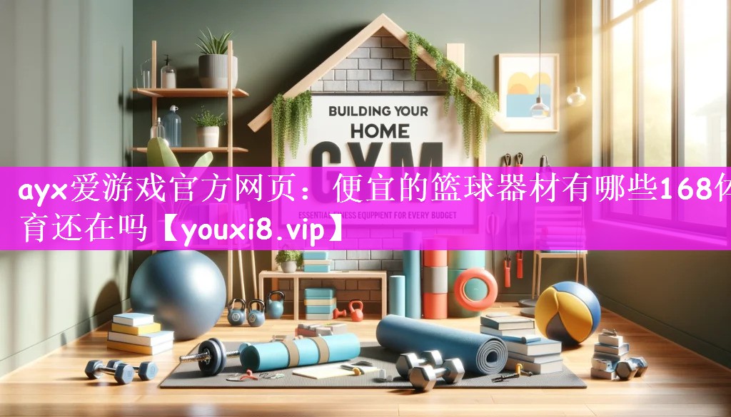 ayx爱游戏官方网页：便宜的篮球器材有哪些168体育还在吗