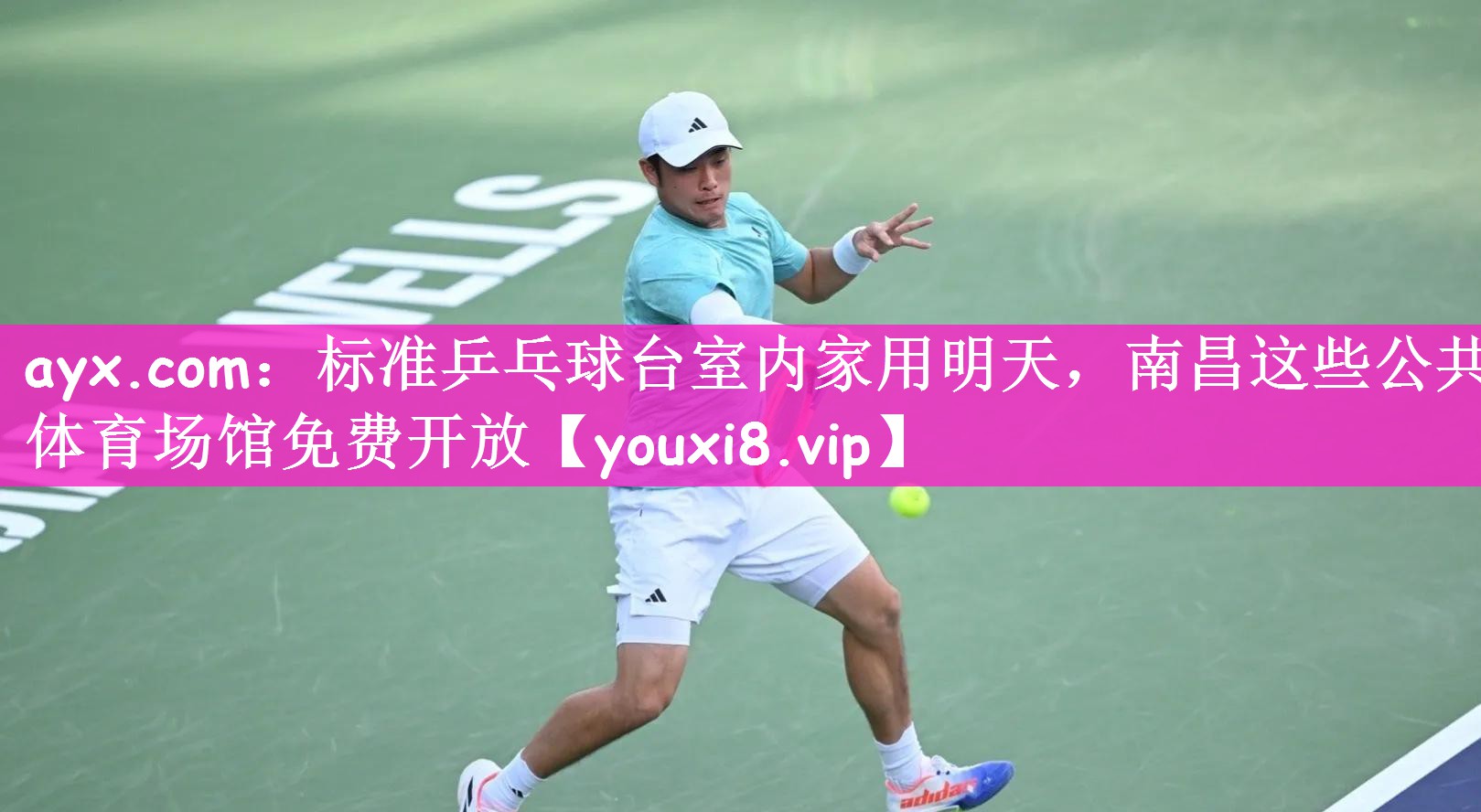 ayx.com：标准乒乓球台室内家用明天，南昌这些公共体育场馆免费开放