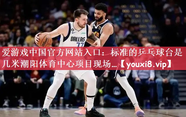 爱游戏中国官方网站入口：标准的乒乓球台是几米潮阳体育中心项目现场…