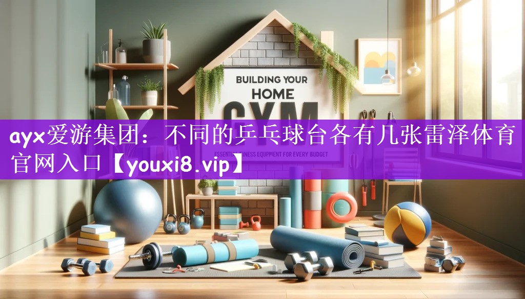 ayx爱游集团：不同的乒乓球台各有几张雷泽体育｜官网入口