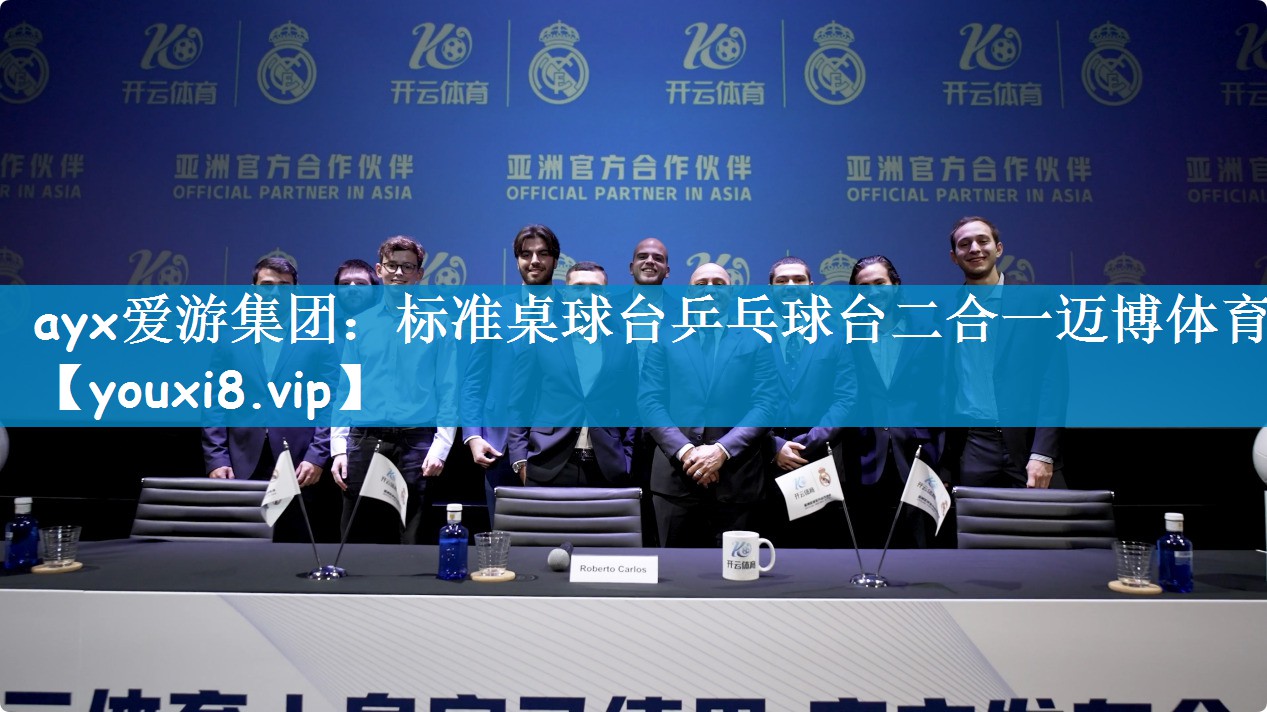 ayx爱游集团：标准桌球台乒乓球台二合一迈博体育