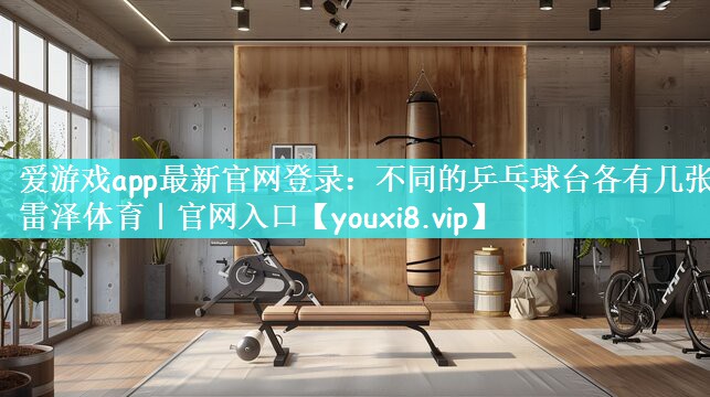 爱游戏app最新官网登录：不同的乒乓球台各有几张雷泽体育｜官网入口