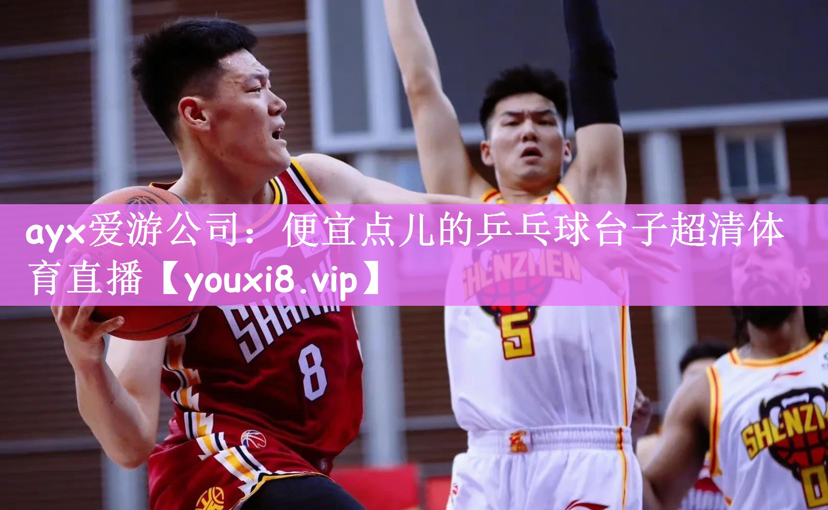 ayx爱游公司：便宜点儿的乒乓球台子超清体育直播