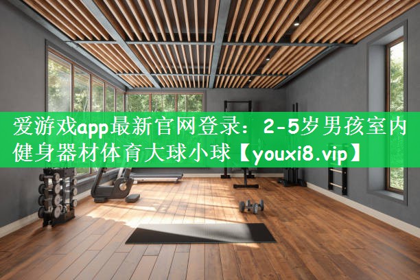 爱游戏app最新官网登录：2-5岁男孩室内健身器材体育大球小球