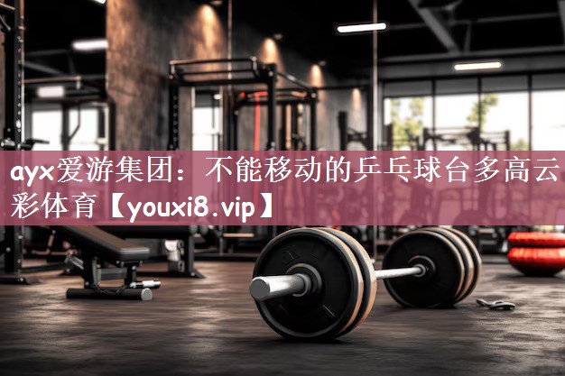 ayx爱游集团：不能移动的乒乓球台多高云彩体育