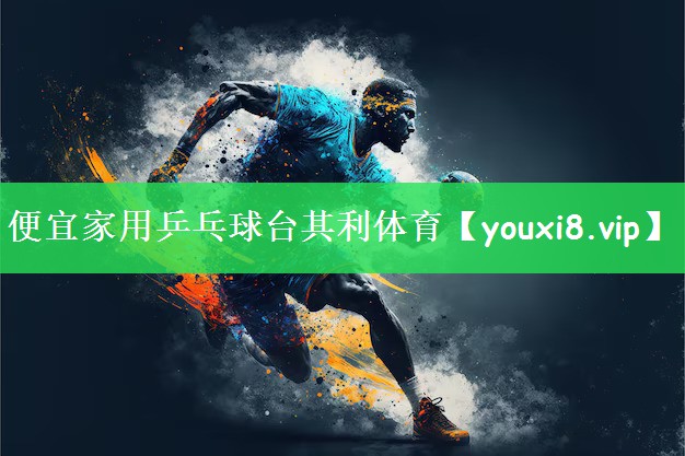 便宜家用乒乓球台其利体育