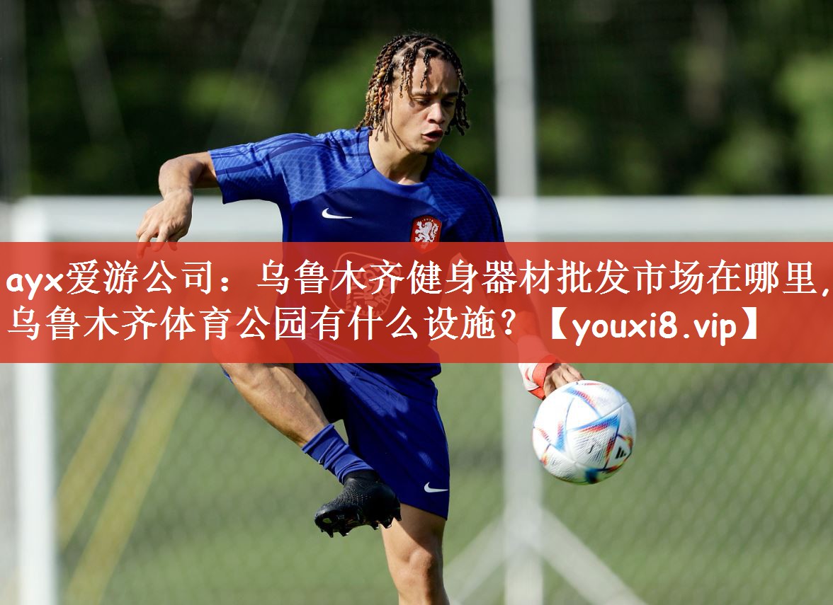 ayx爱游公司：乌鲁木齐健身器材批发市场在哪里,乌鲁木齐体育公园有什么设施？