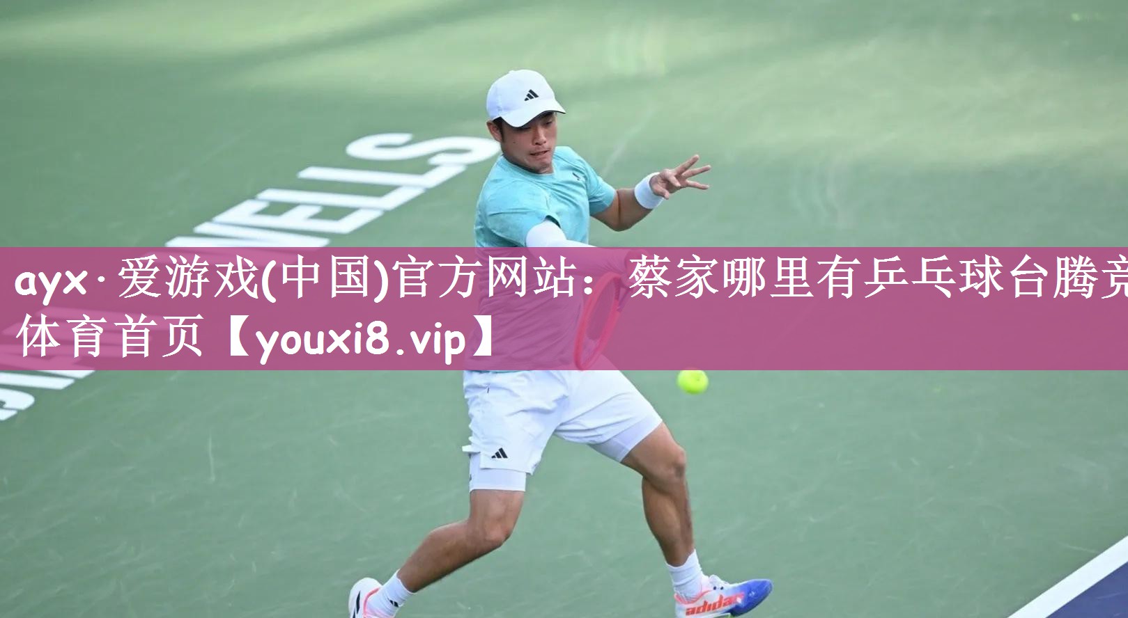 ayx·爱游戏(中国)官方网站：蔡家哪里有乒乓球台腾竞体育首页