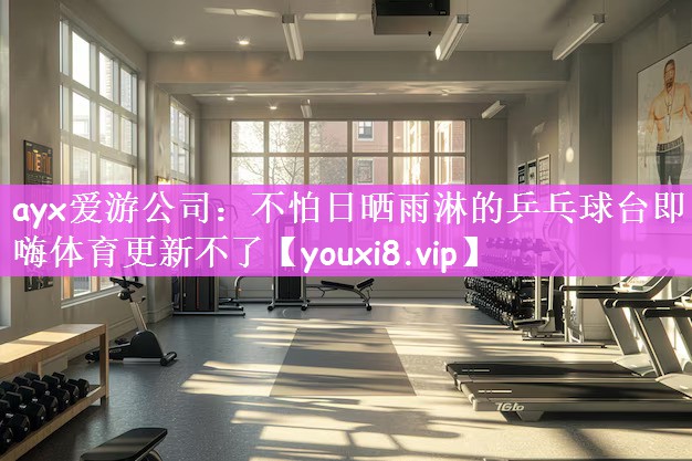 ayx爱游公司：不怕日晒雨淋的乒乓球台即嗨体育更新不了