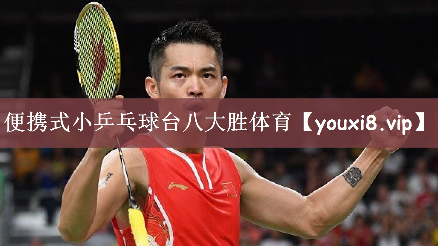便携式小乒乓球台八大胜体育