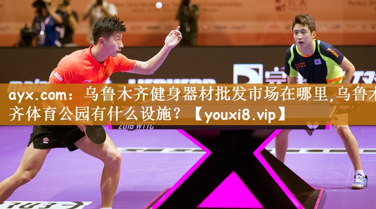 ayx.com：乌鲁木齐健身器材批发市场在哪里,乌鲁木齐体育公园有什么设施？