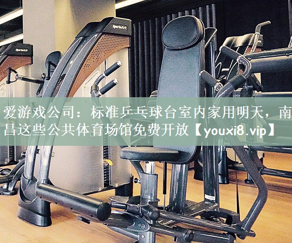 爱游戏公司：标准乒乓球台室内家用明天，南昌这些公共体育场馆免费开放
