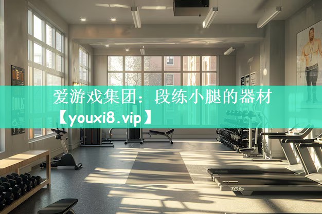 爱游戏集团：段练小腿的器材