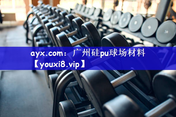 ayx.com：广州硅pu球场材料