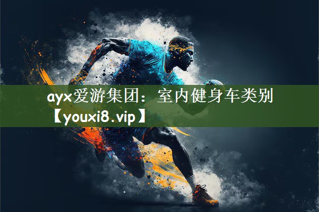 ayx爱游集团：室内健身车类别