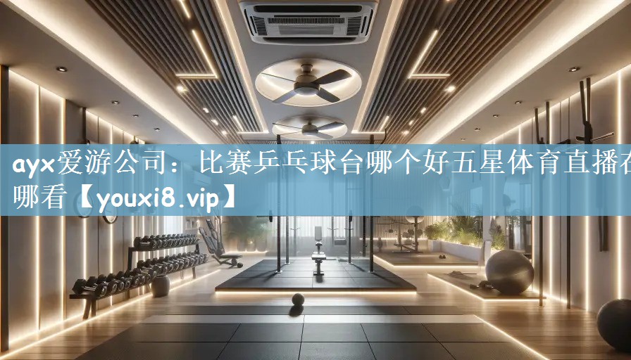 ayx爱游公司：比赛乒乓球台哪个好五星体育直播在哪看