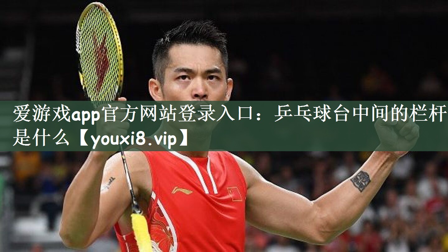 乒乓球台中间的栏杆是什么