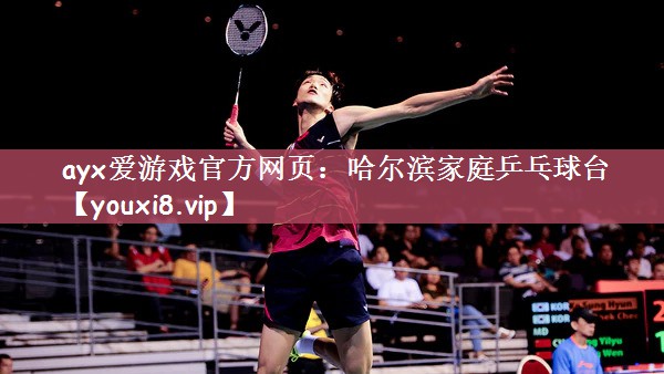 哈尔滨家庭乒乓球台