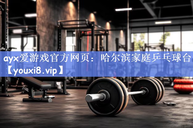 哈尔滨家庭乒乓球台