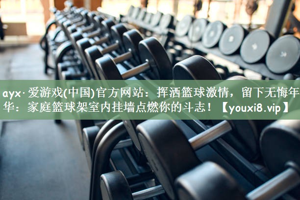 挥洒篮球激情，留下无悔年华：家庭篮球架室内挂墙点燃你的斗志！
